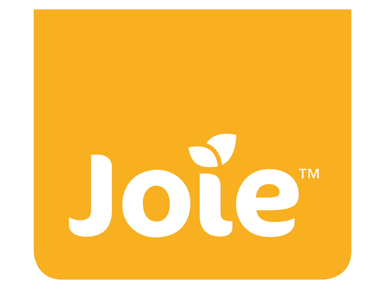 Joie Car Seats