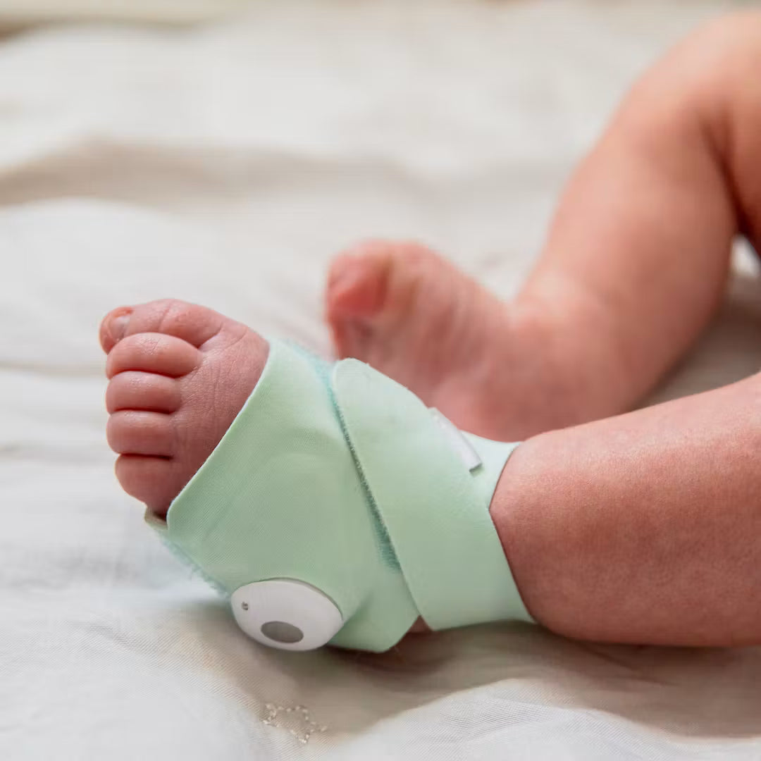 Owlet Dream Sock - Mint